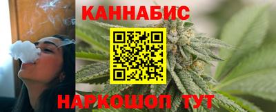 шишки Гатчина