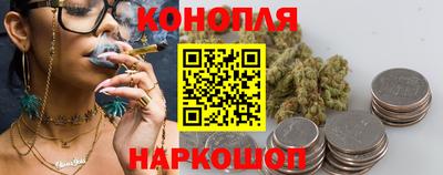шишки Гатчина
