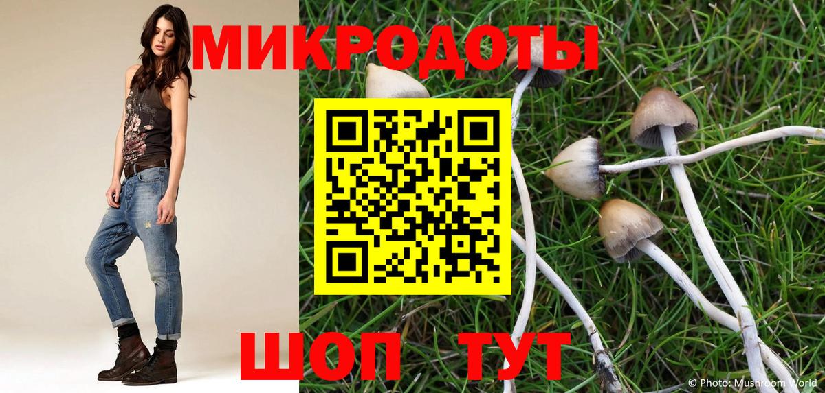 Галлюциногенные грибы MAGIC MUSHROOMS  Вход с VPN  Галлюциногенные грибы GOLDEN TEACHER  Москва 